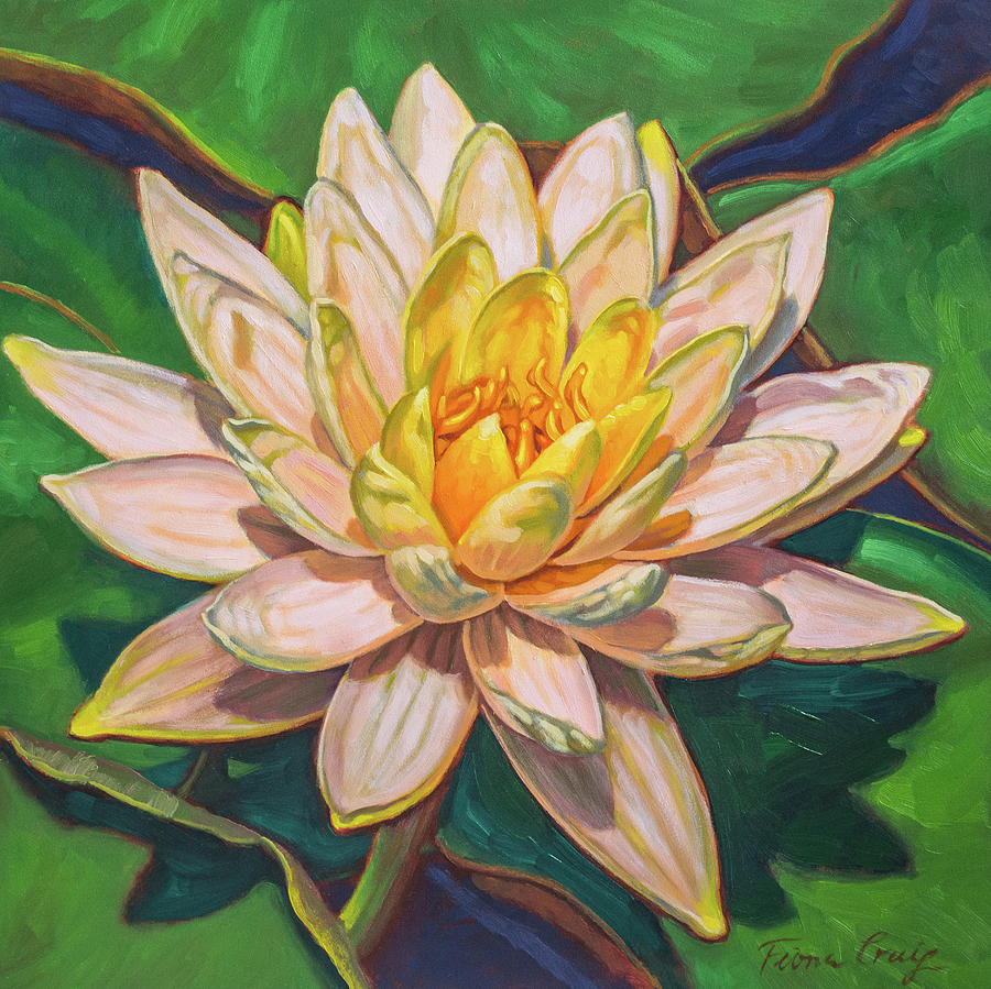 Lily Painting - Water Lily Study 2 by Fiona Craig