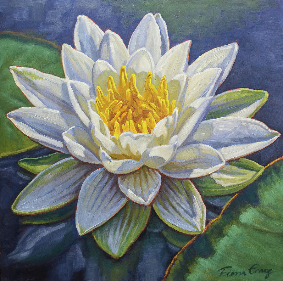 Water Lily Study 4 Painting by Fiona Craig - Fine Art America