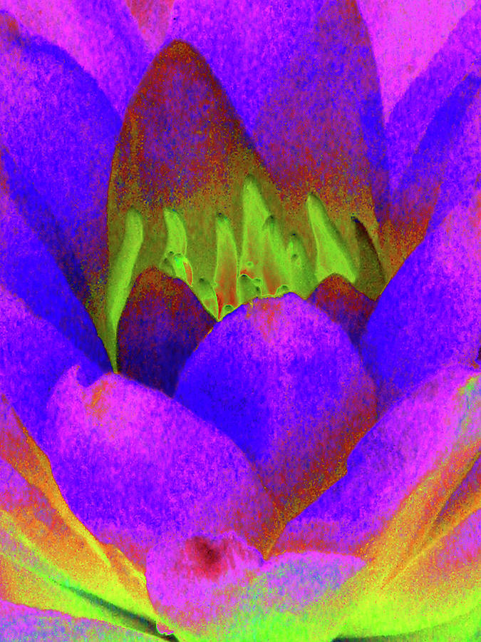 Water Lily - Sunday Surprise - PhotoPower 3433 Photograph by Pamela Critchlow