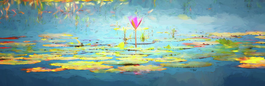 Water Lily - Tribute to Monet Photograph by Stephen Stookey