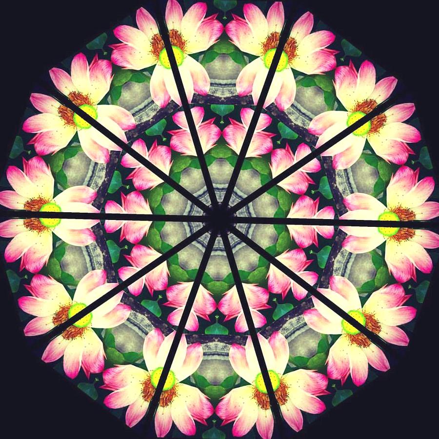 Water Lily Window Digital Art