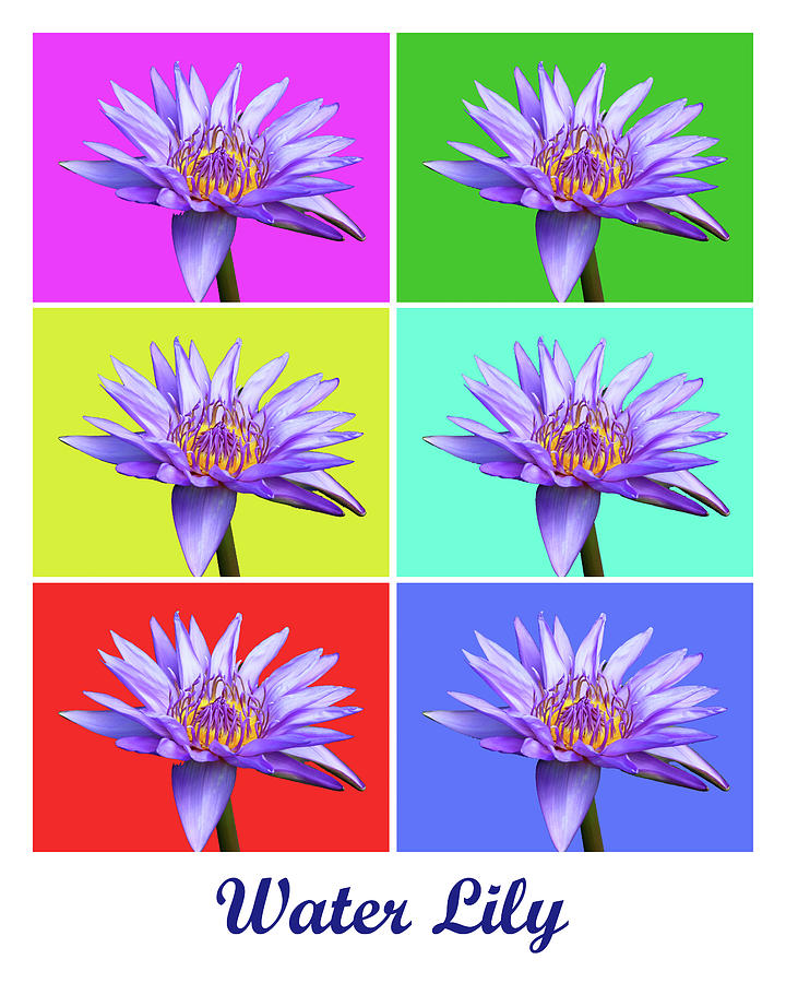 Water Lily x6 Titled Photograph by Lou Ford