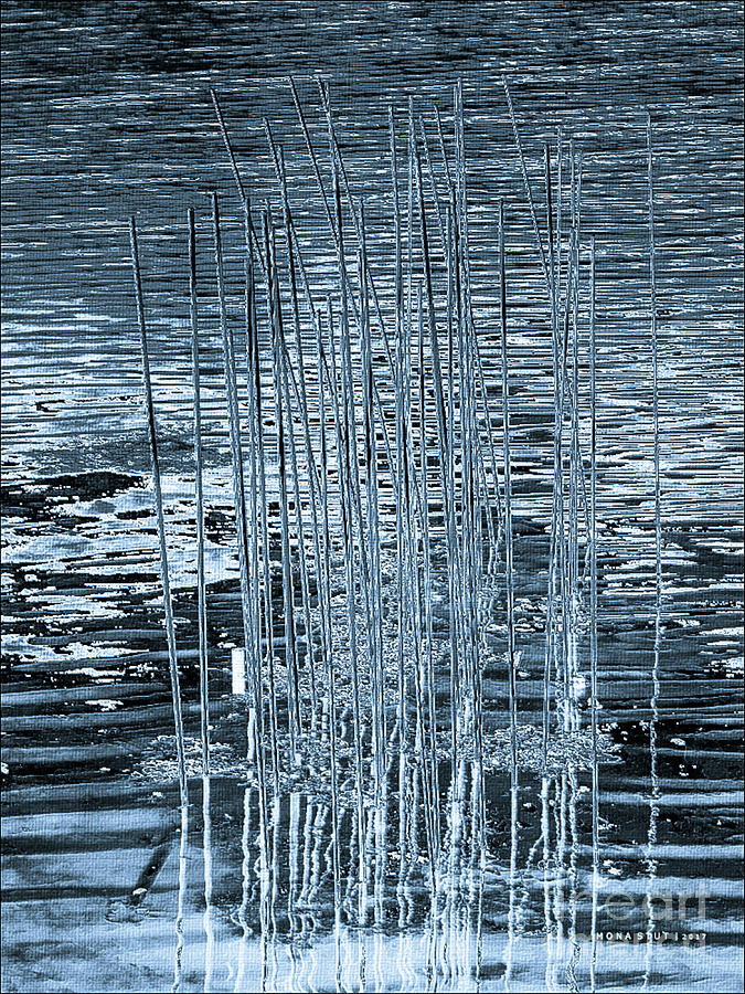 Textured Water Lines BW Digital Art by Mona Stut