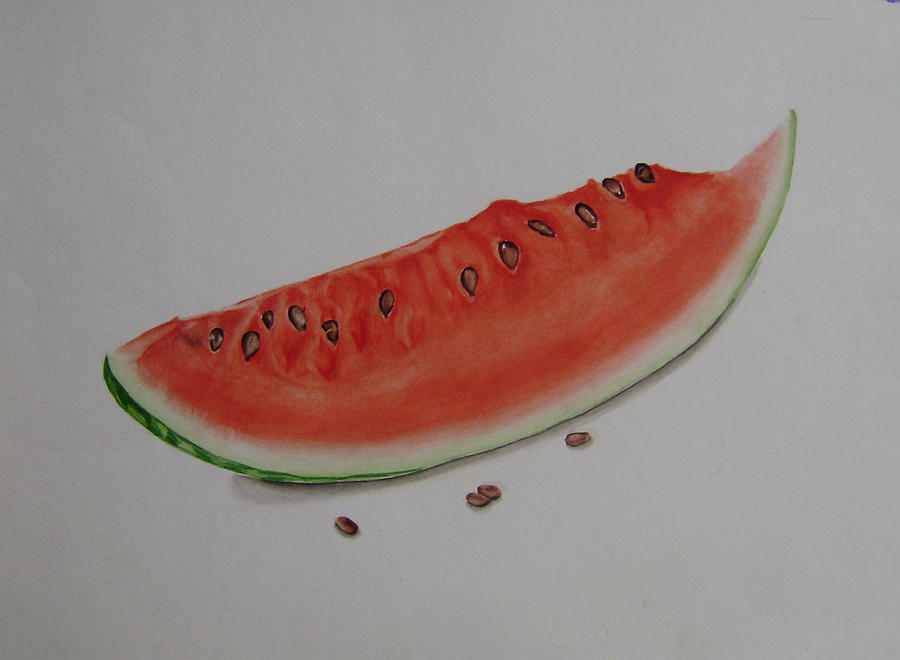 Water melon - live study Painting by Dharmesh Prajapati - Fine Art America