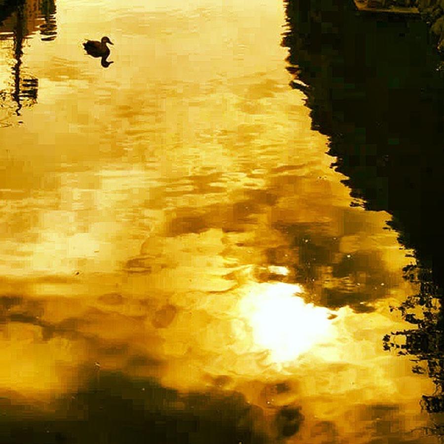 Sunset Photograph - Water Mirror ＠ Ashikaga by Nori Strong