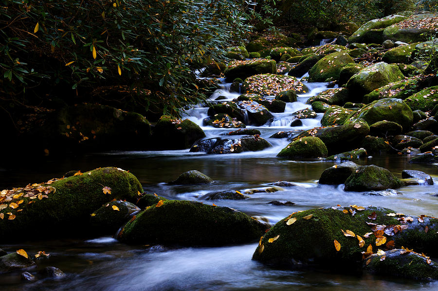 Water On The Roaring Fork Photograph by Ann Keisling Water On The Roaring Fork Photograph by Ann Keisling