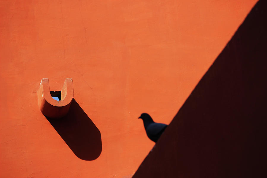 Water Outlet Vs The Pigeon Photograph by Prakash Ghai
