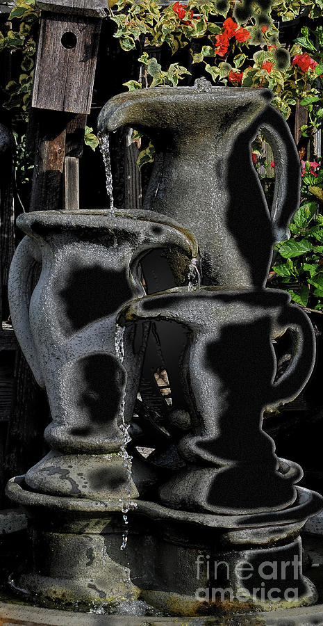 Water Pitchers Photograph by Lydia Holly