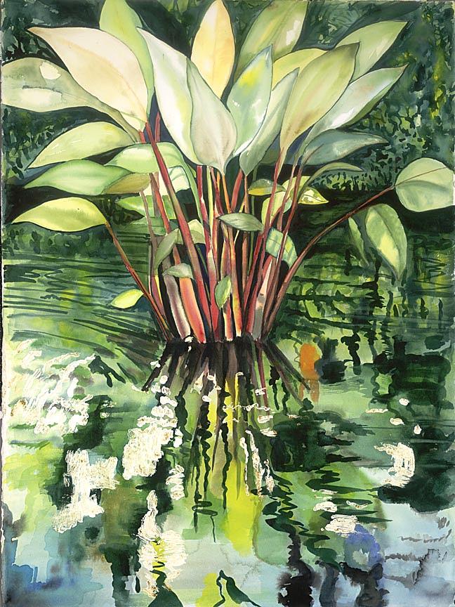 Water Plant Painting by Ileana Carreno - Fine Art America