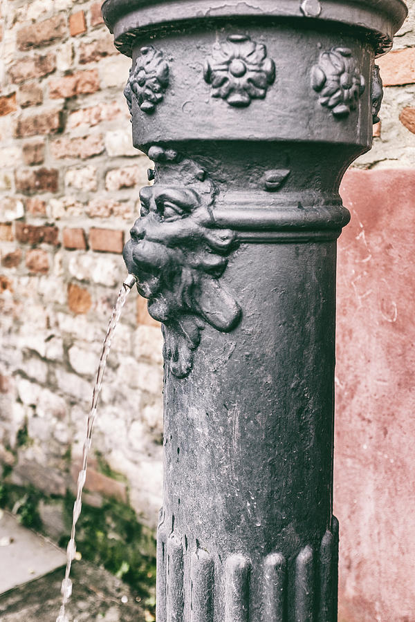 Water Pump in Venice Photograph by Georgia Fowler