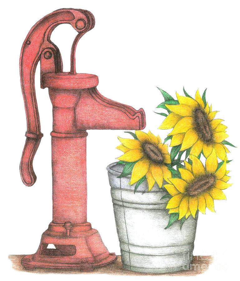 Water Pump with Sunflowers Drawing by Carra Leigh Fine Art America