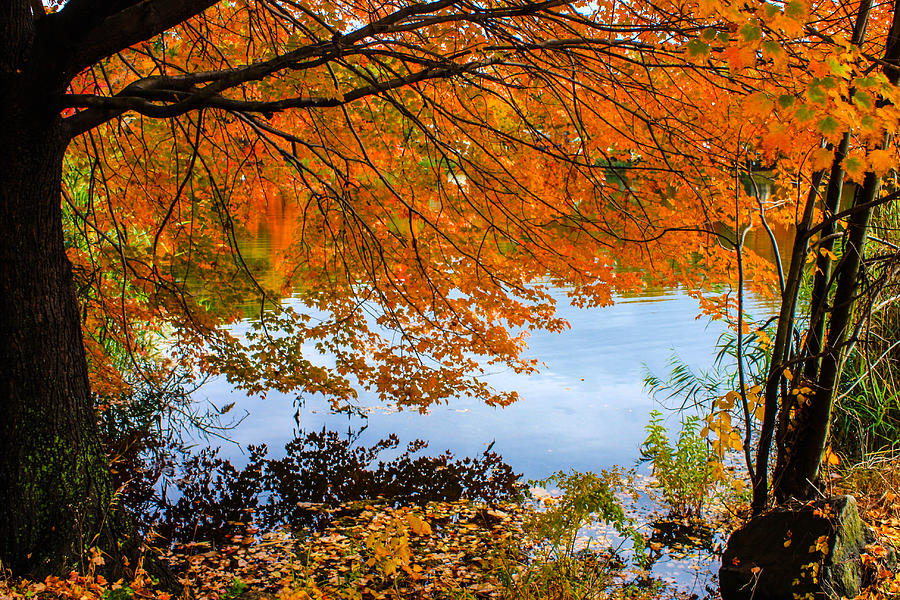 Water Reflection Colors Photograph by William E Rogers - Fine Art America