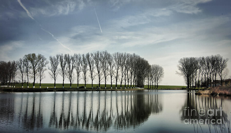 Water reflection Photograph by Daliana Pacuraru