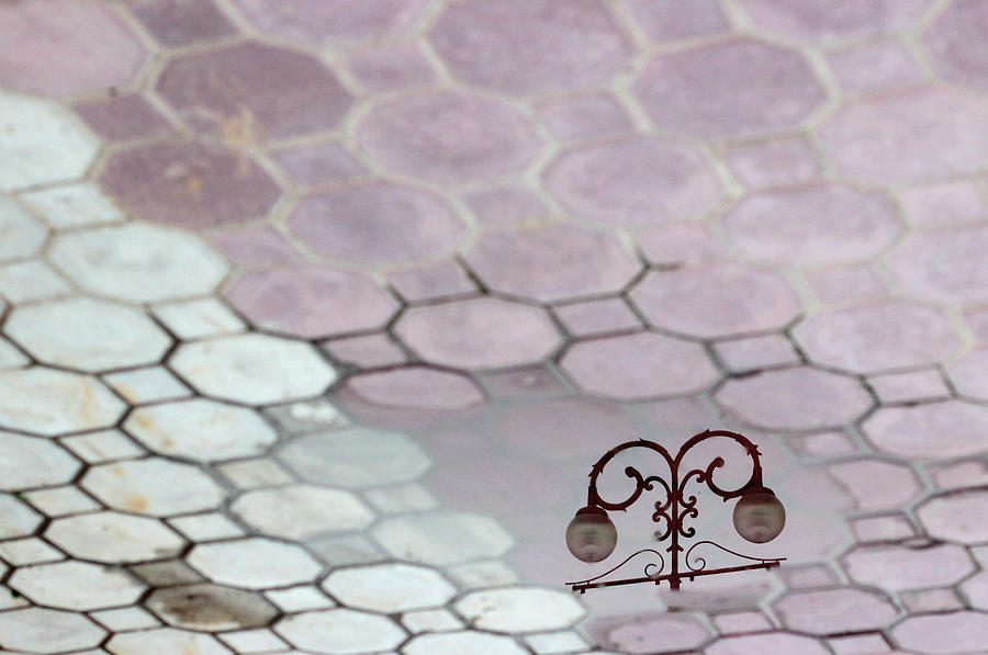 Mirror Photograph - Water Reflection of Garden Lamps at the Akshardham Temple, Jaipur  by Prakash Ghai