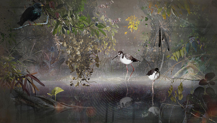Water Reflections Digital Art by Jesper Krijgsman