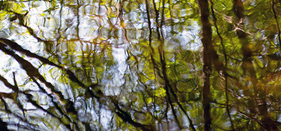 Water Ripples 5 Photograph by Rebecca Cozart