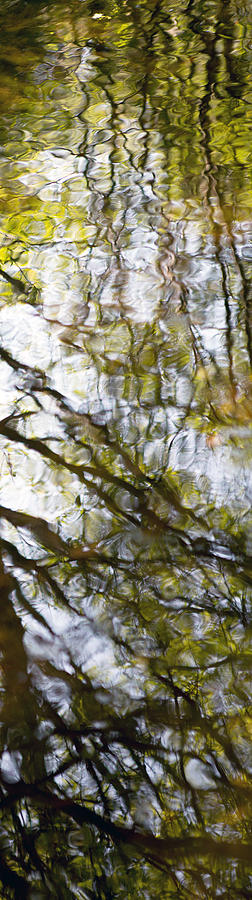 Water Ripples 6 Photograph by Rebecca Cozart