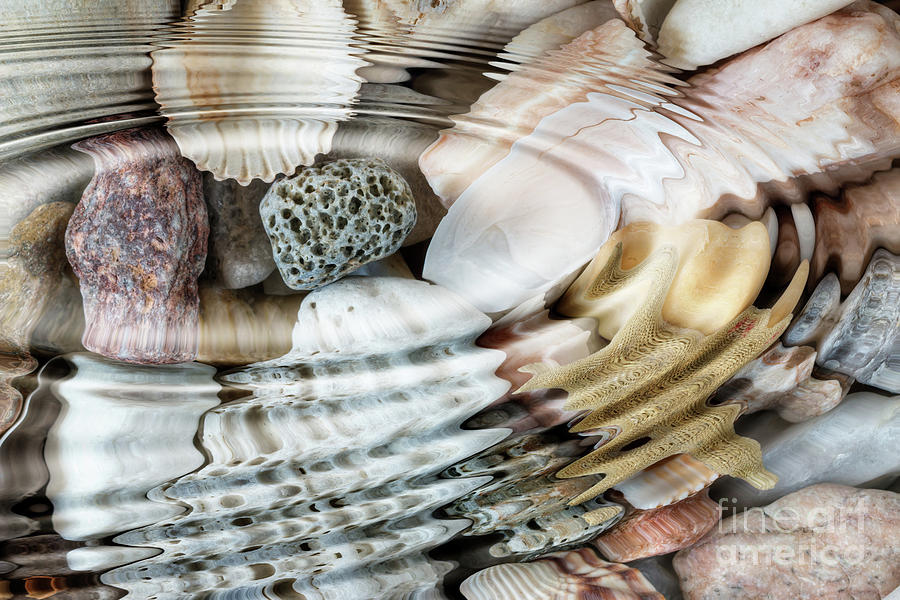 Water ripples above pebbles and seashells Digital Art by Michal Boubin