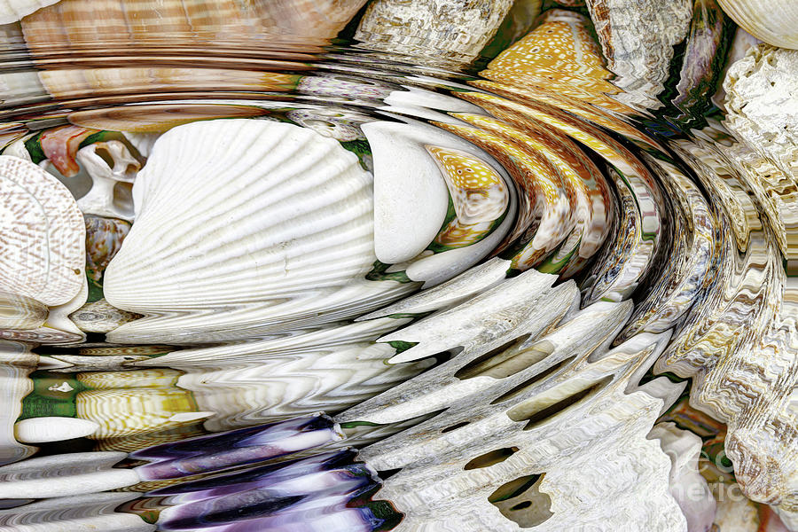 Water ripples above sea shells Photograph by Michal Boubin
