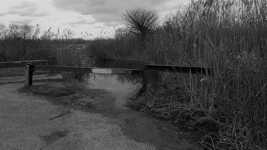 Water Road B W Photograph by Rob Hans