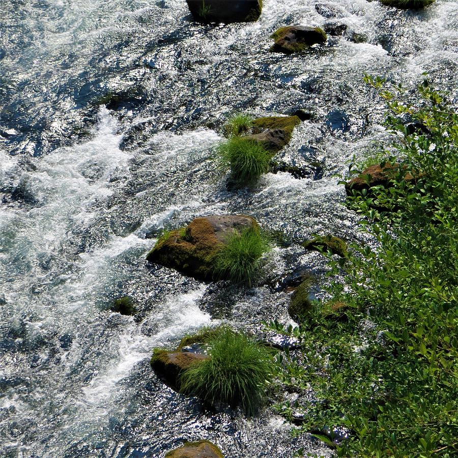 Water, Rocks, Moss Photograph by Jeanette Oberholtzer