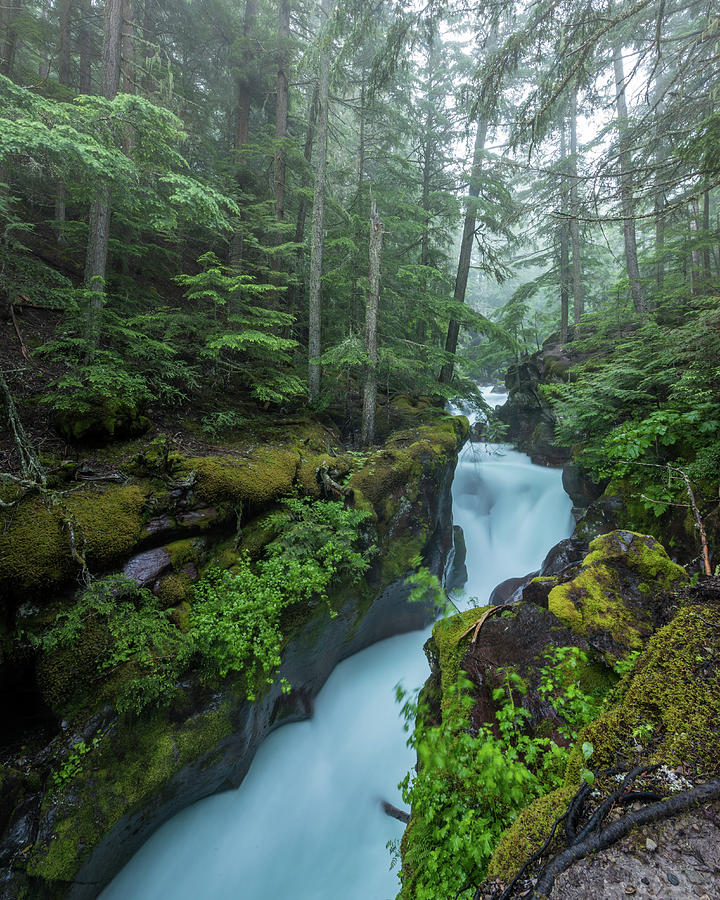Water Rushes through the Carved Stone of Avalanche Creek Photograph by Kelly VanDellen