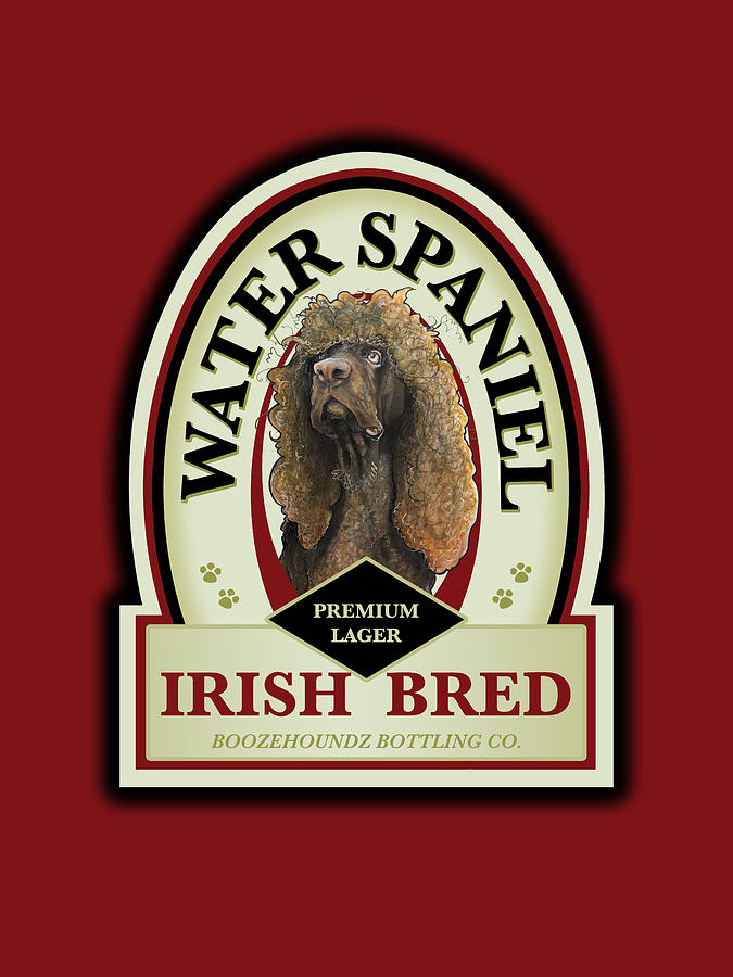 Beer Drawing - Water Spaniel Irish Bred Premium Lager by John LaFree