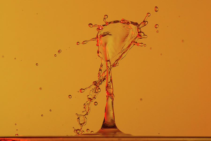 Water Splash and Drops in Gold and Red Photograph by Carol Ward - Fine ...