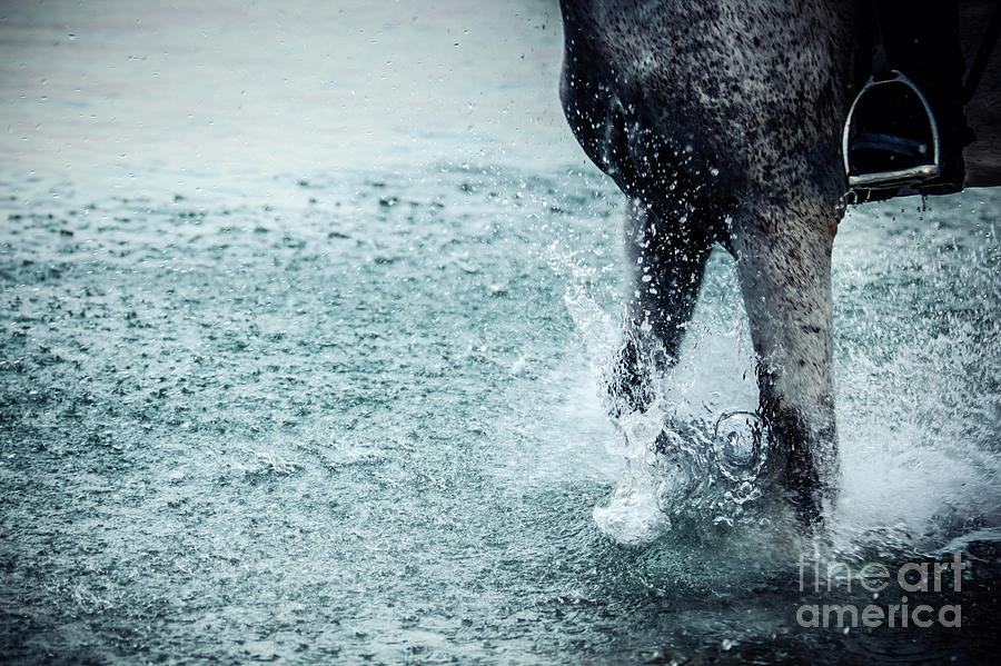 Water Splash Horse Legs Running On The Water Photograph by Dimitar Hristov