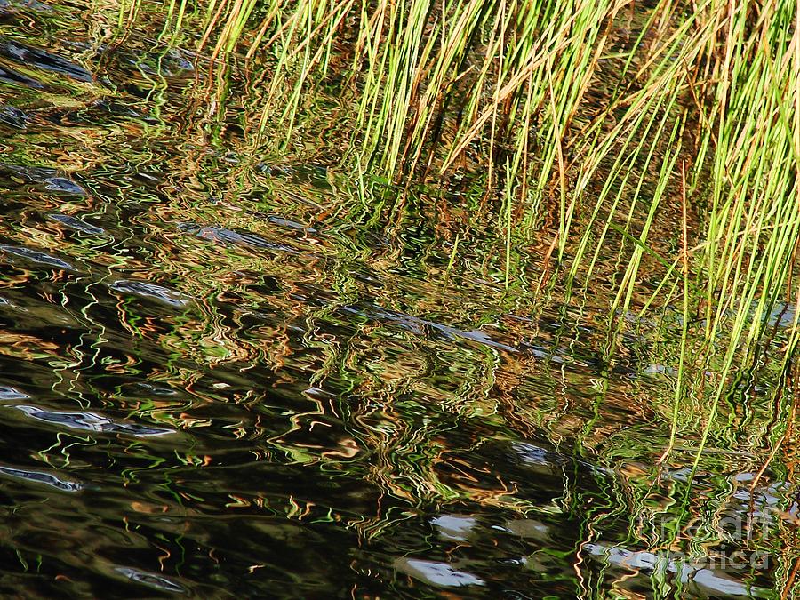 Water Photograph - Water Sprite by Lorles Lifestyles Water Photograph - Water Sprite by Lorles Lifestyles