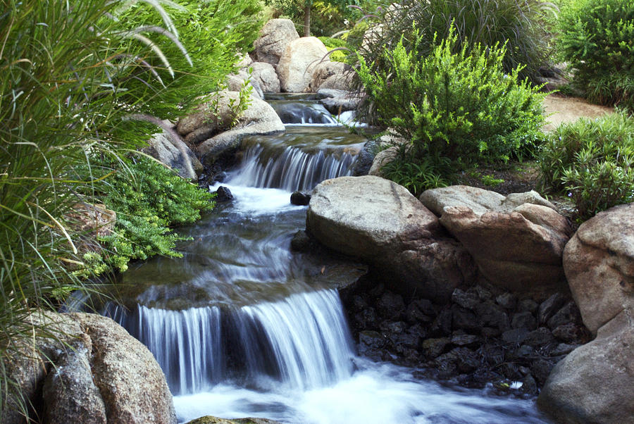 Nature Photograph - Water Stream by Courtney Lively