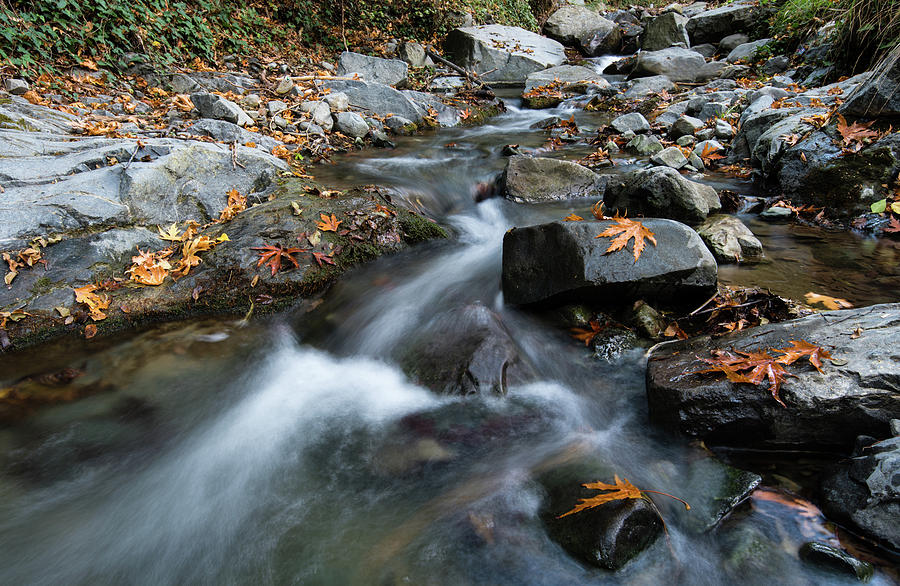 Water stream flowing in the river in autumn Photograph by Michalakis Ppalis
