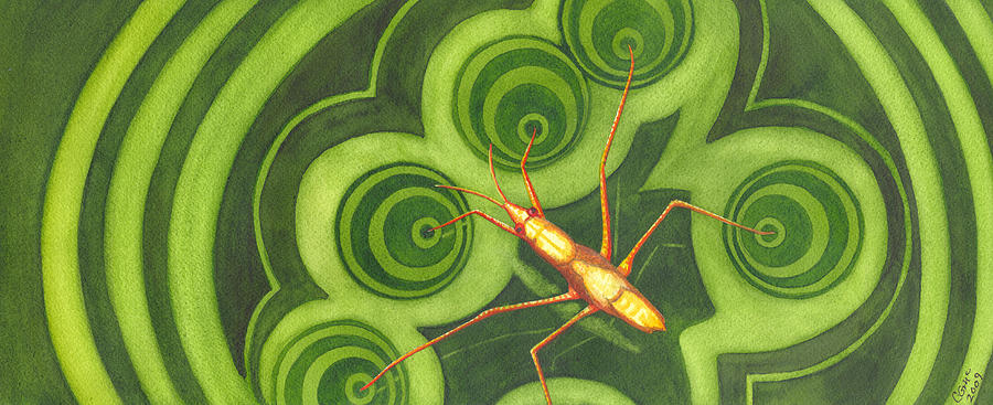 Water Strider Painting by Catherine G McElroy