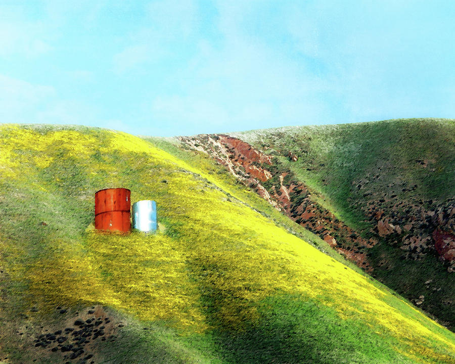 Water Tanks and Wildflowers Photograph by Timothy Bulone