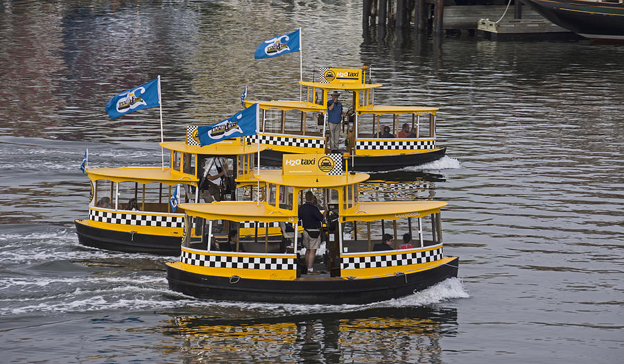 Transportation Photograph - Water Taxis by Inge Riis McDonald