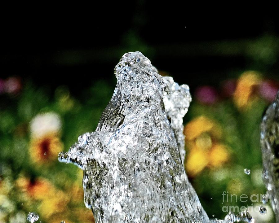 Water the sculptor of nature II Photograph by Humphrey Isselt