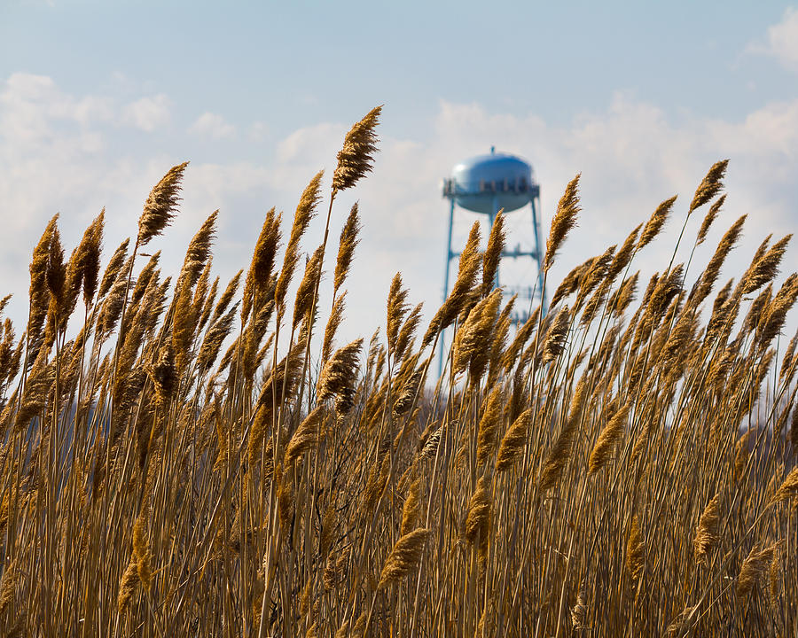 Water Tower Photograph by Kirkodd Photography Of New England