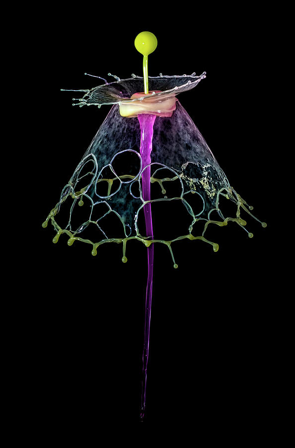 Water Umbrella Photograph by Jaroslaw Blaminsky
