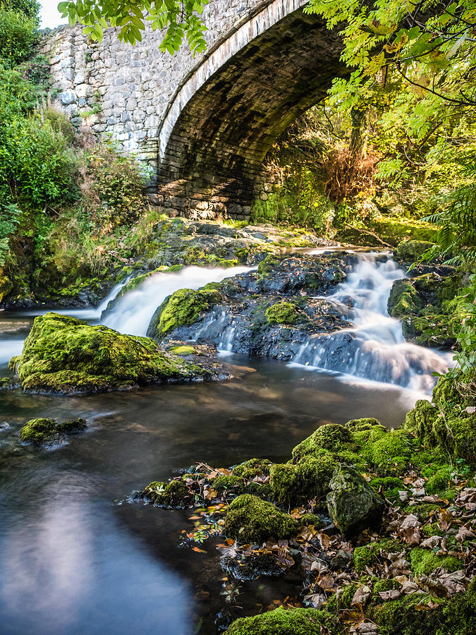 Fall Photograph - Water under the bridge by Nick Bywater