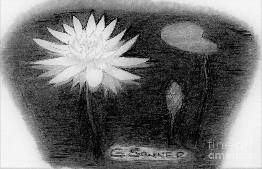 Water white Drawing by George Sonner