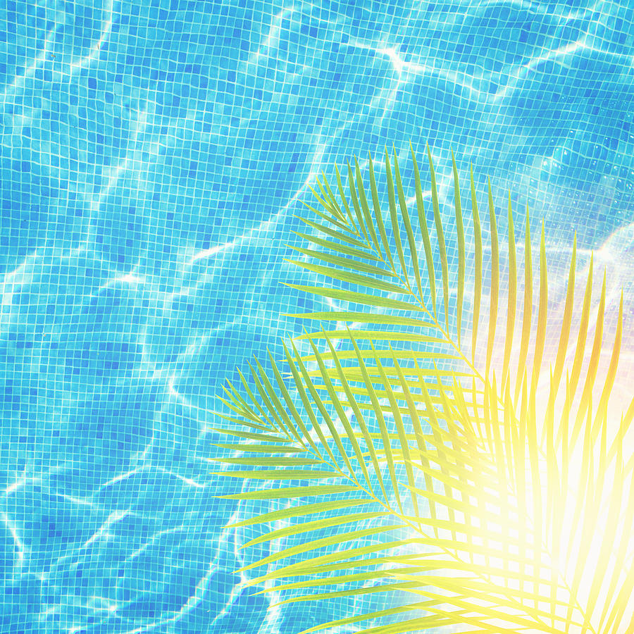 Water with Palm and Sunshine Photograph by Anastasy Yarmolovich