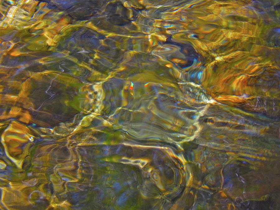 Water Wonder 74 Digital Art by George Ramos