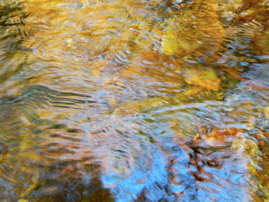 Water World 191 Photograph by George Ramos - Fine Art America