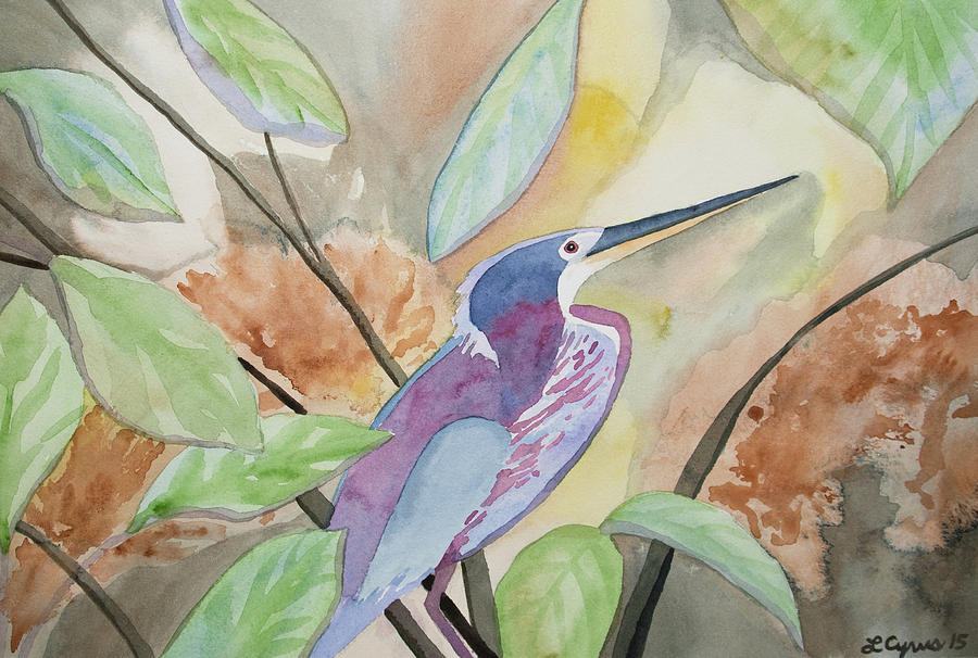 Watercolor - Agami Heron Painting by Cascade Colors