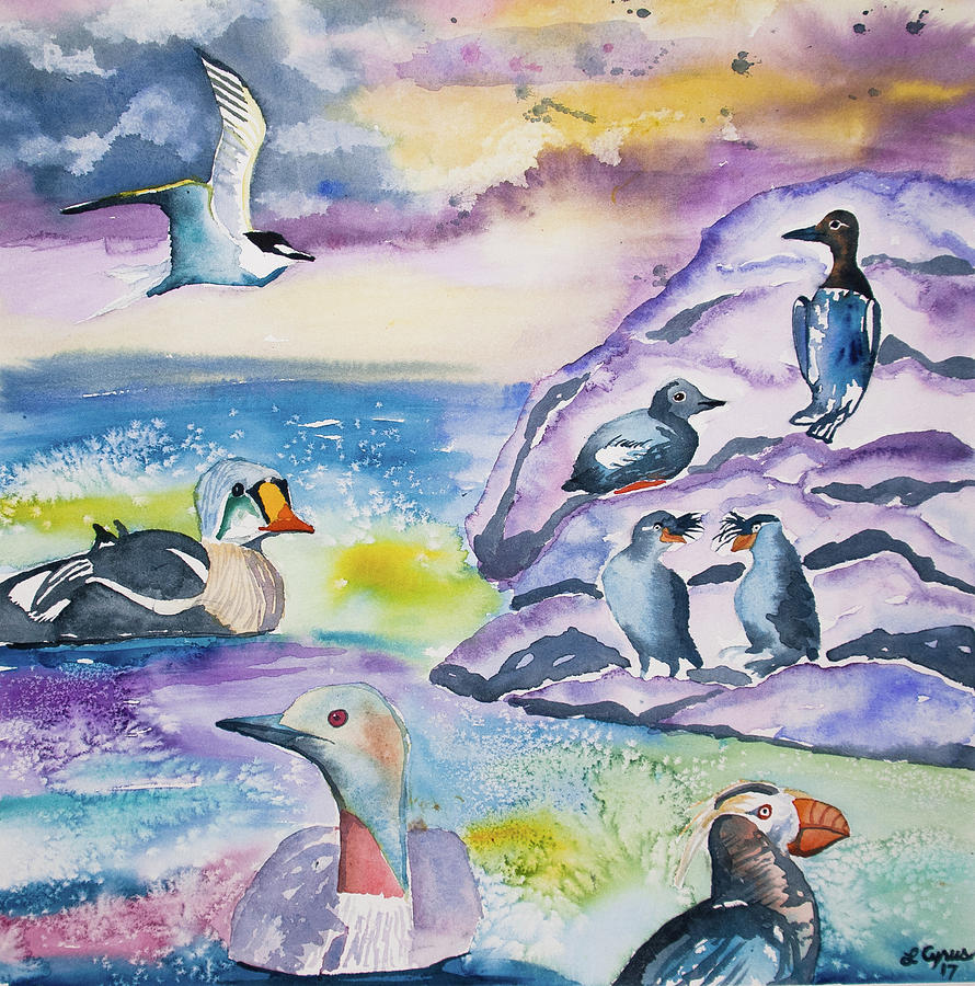 Watercolor - Alaska Seabird Gathering Painting by Cascade Colors