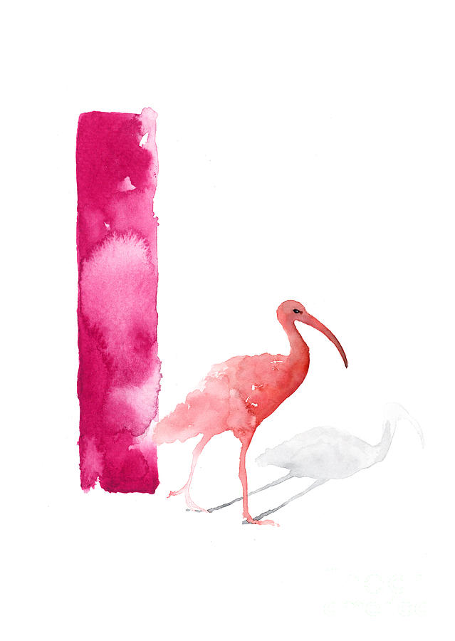 Ibis Painting - Watercolor alphabet pink ibis poster by Joanna Szmerdt