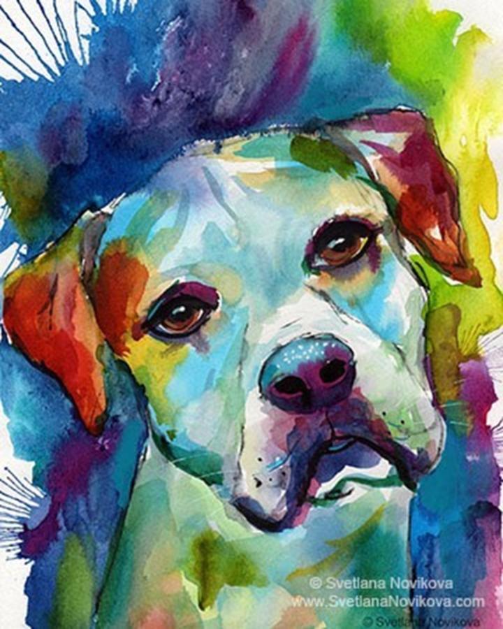 Dog Photograph - Watercolor American Bulldog Painting By by Svetlana Novikova