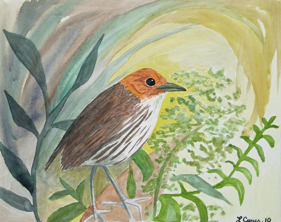 Watercolor - Antpitta in the Rainforest Painting by Cascade Colors