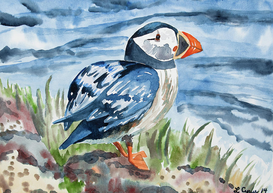 Watercolor - Atlantic Puffin Preparing to Fly Painting by Cascade Colors