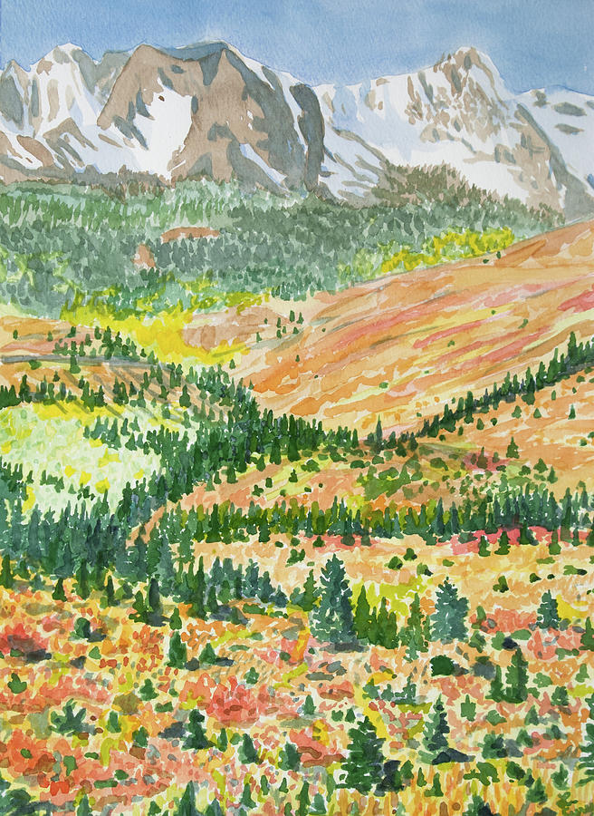 Watercolor Paint Set Bulk -Set of 24 (16 Colors ) — Shuttle Art
